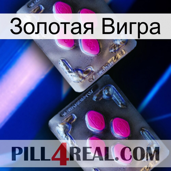 Золотая Вигра 01.jpg